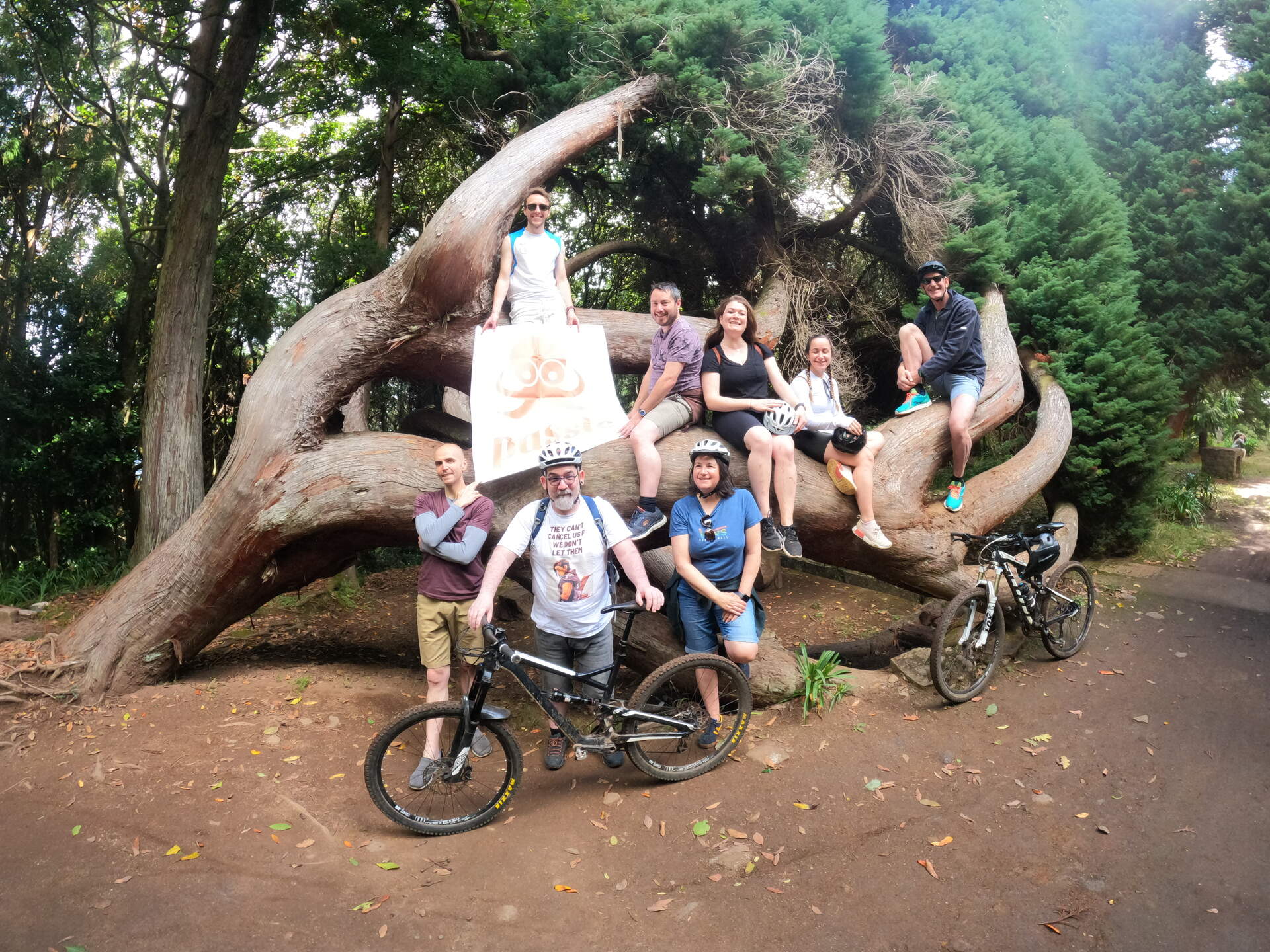 Corporate team mountain biking in Madeira